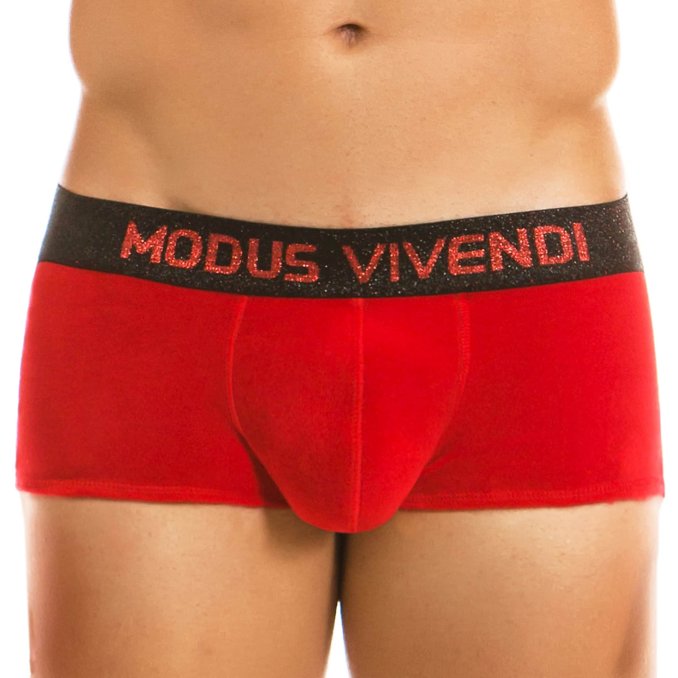 Men's Designer Modus Vivendi FLORAL VELVET Tanga Brief Fuchsia or Red