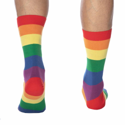 Chaussettes Basses Coton Rainbow SKU