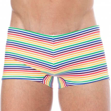 Sweet Banana Rainbow Stripes Swim Trunks - Multicolor