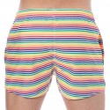 Sweet Banana Rainbow Stripes Swim Shorts - Multicolor