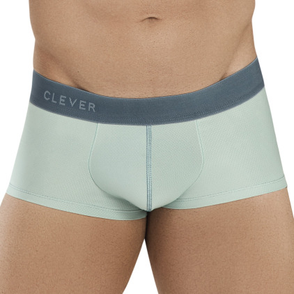 Clever Boxer Obwalden Vert