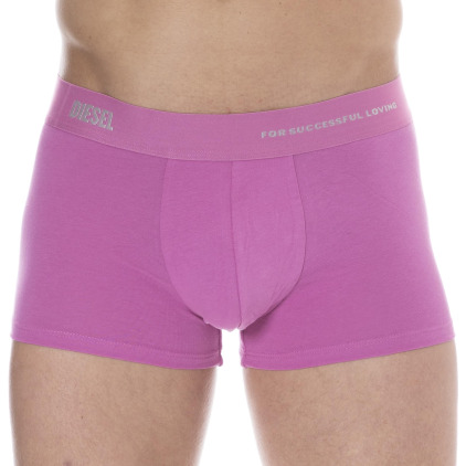 Diesel Boxer Loving Rose
