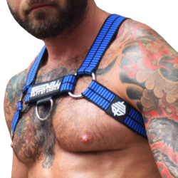 Harnais Body Hybred Noir - Bleu Breedwell