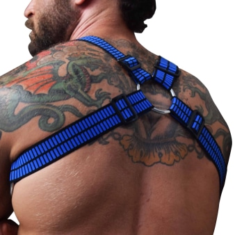 Harnais Body Hybred Noir - Bleu Breedwell