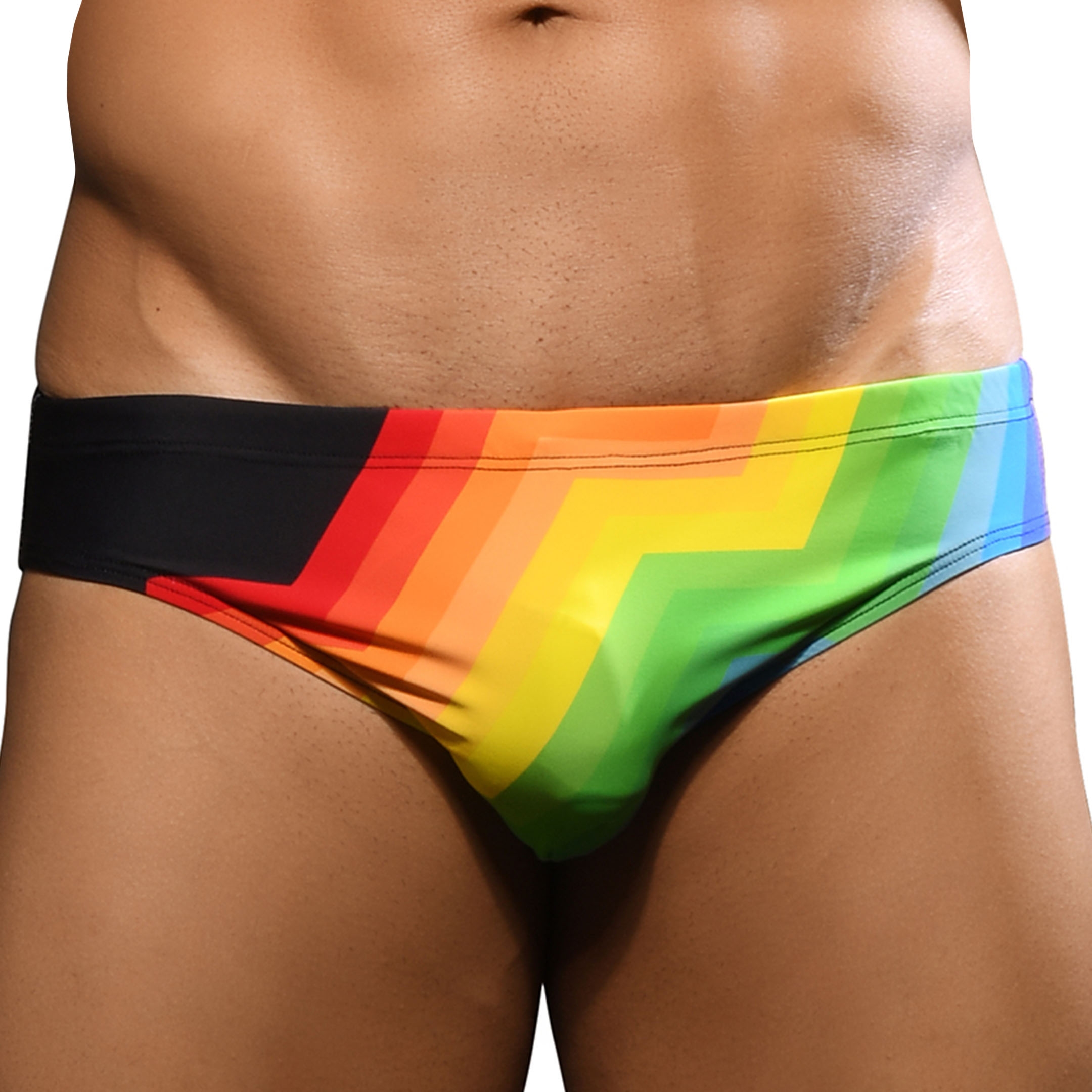 Andrew Christian Pride Vision Swim Briefs - Rainbow
