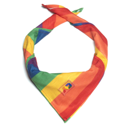 Foulard Arc-en-Ciel Addicted
