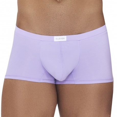 Clever Boxer Angel Lilas
