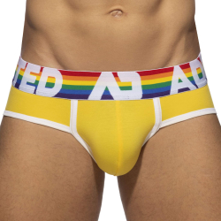 Lot de 6 Slips Rainbow Multicolores Addicted