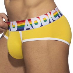 Lot de 6 Slips Rainbow Multicolores Addicted