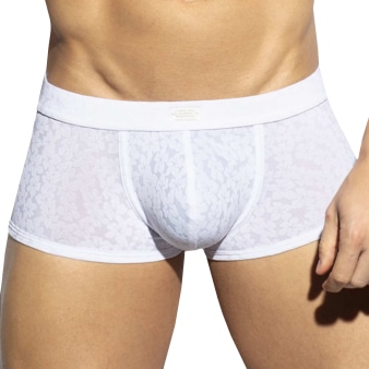 Boxer Court Daisy Flower Blanc ES Collection