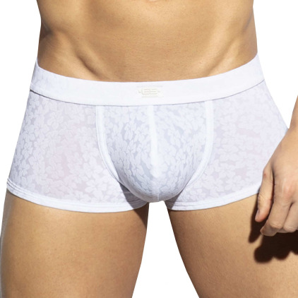 Boxer Court Daisy Flower Blanc ES Collection