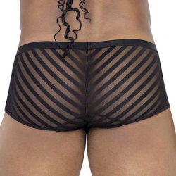CandyMan Striped Mesh Trunks - Black