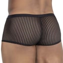 CandyMan Striped Mesh Trunks - Black