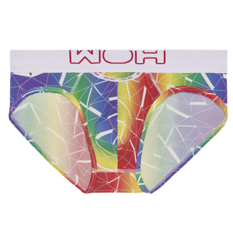 WOH Sexy Fun Briefs - Rainbow