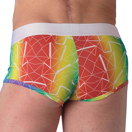 WOH Sexy Fun Trunks - Rainbow