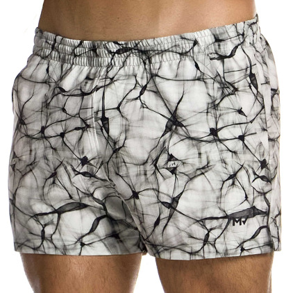 Short de Bain Four Elements Air Modus Vivendi