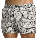 Modus Vivendi Four Elements Swim Shorts - Air