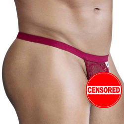 CandyMan Lace Thong - Wine
