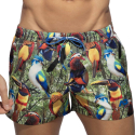 Addicted Exotic Birds Swim Shorts - Black