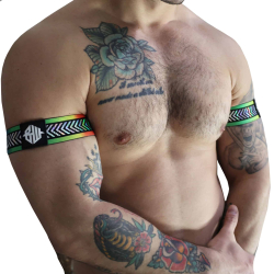 Lot de 2 Brassards Pure Pride Arc-en-Ciel Breedwell