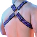 Breedwell Harnais Body Hybred Noir - Violet