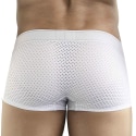 Clever Boxer Court Ambar Blanc