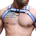 Breedwell Groove Bulldog Harness - Blue