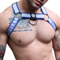 Breedwell Harnais Bulldog Groove Bleu