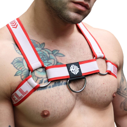 Harnais Bulldog Groove Rouge Breedwell