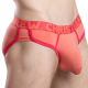 Corail