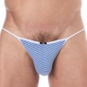 Blue / White