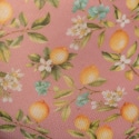 Addicted Lemon Garden Trunks - Pink