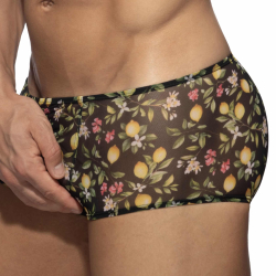 Shorty Lemon Garden Noir Addicted