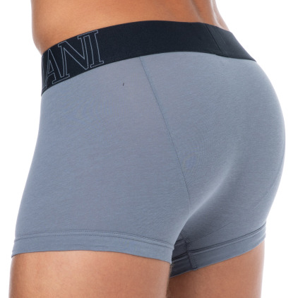 Boxer Megalogo Coton Gris Pierre Emporio Armani