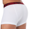 Emporio Armani Bold Monogram Cotton Boxer Briefs - White