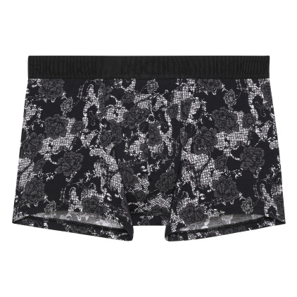 Boxer H01 Fairmont Noir HOM