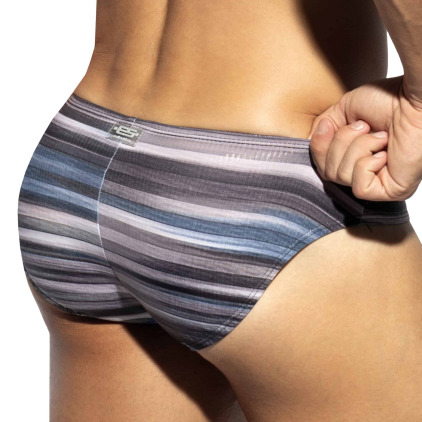 Slip Bikini Wetlands Gris ES Collection