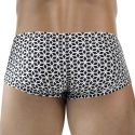 Clever Boxer Latin Cuadricula