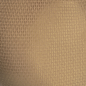 ES Collection Radiant Bikini Briefs - Beige