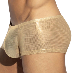 ES Collection Radiant Trunks - Beige