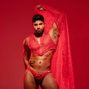 TOF Paris Fluid Lace Mini Briefs - Red