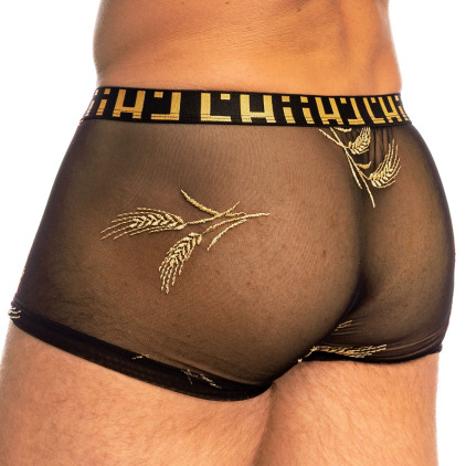 Shorty Hipster Push-Up Epi d'Or Noir L'Homme Invisible