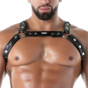 Harnais Bulldog Kinky Noir TOF Paris
