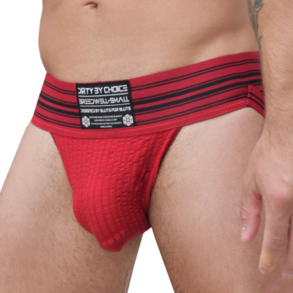 Jock Strap Cumdump Rouge Breedwell