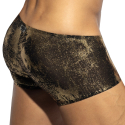 Boxer Court Gold + Gold ES Collection