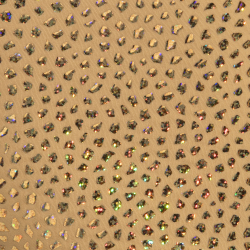 Addicted Gold Stones Trunks - Beige