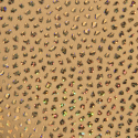 Boxer Court Gold Stones Beige Addicted