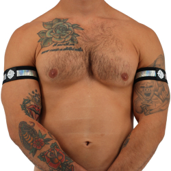 Breedwell 2-Pack Illuminator Armbands - Iridescent