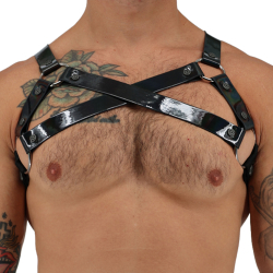 Harnais Bulldog Illuminator Noir Breedwell