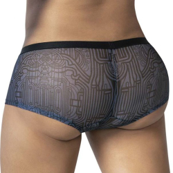 Boxer Egyptien Bleu CandyMan